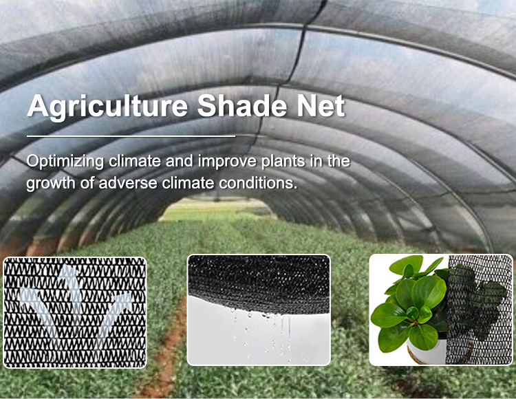 Agriculture Shade Net, Agriculture Shade cloth for sale - BN Netting